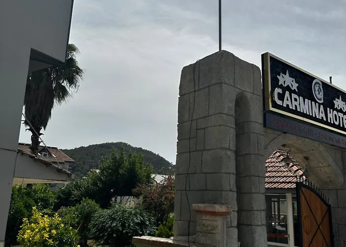 Carmina 3*